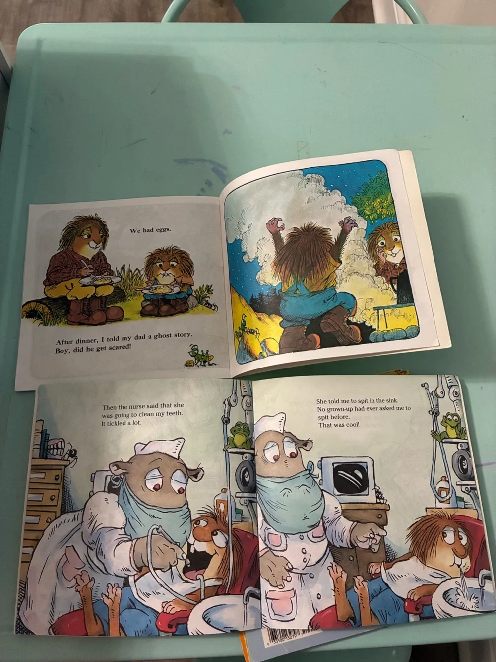 Little Critter Mercer Mayer Books